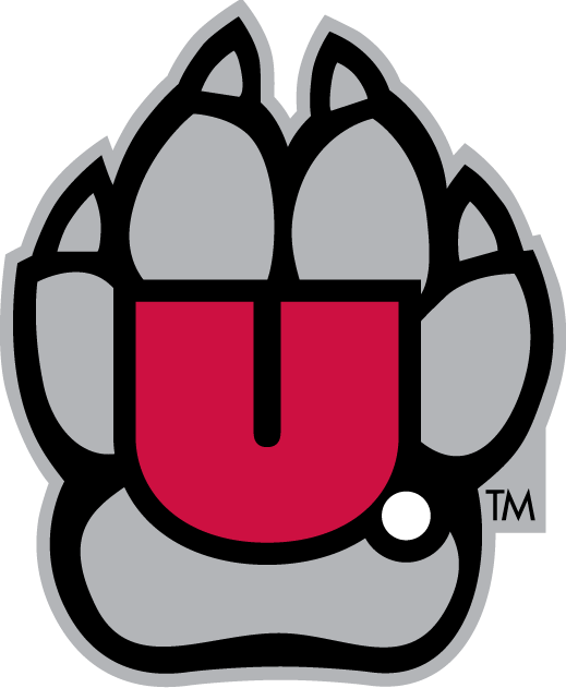 South Dakota Coyotes 2004-2011 Alternate Logo v2 iron on transfers for clothing